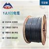 WDZ-YJY 電線電纜 無鹵低煙阻燃電纜的特性與應用
